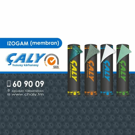 "Çaly" önümçilik kärhanasy