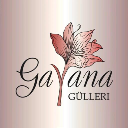 Gaýana Gülleri - gül dükany
