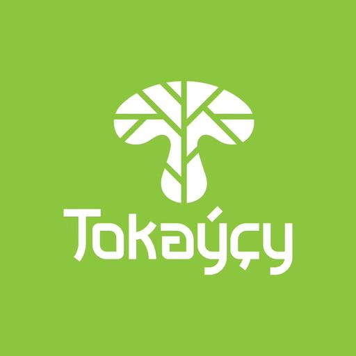 Tokaýçy 