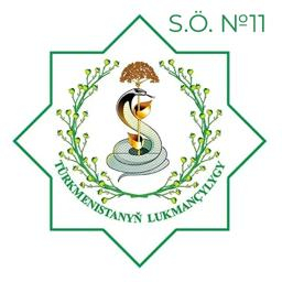 Saglyk öýi №11