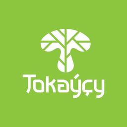 Tokaýçy 