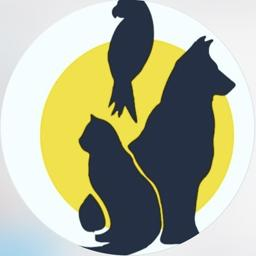Zoo Drug - öý haýwanlary üçin harytlar